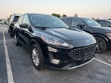 Used 2022 Ford Escape SE w/ Convenience Package image 3