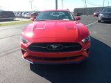 Used 2019 Ford Mustang Premium w/ Pony Package image 3