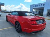 Used 2019 Ford Mustang Premium image 3