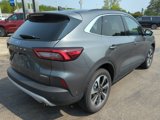 Used 2023 Ford Escape Platinum w/ Premium Technology Package image 4