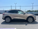 Used 2020 Ford Escape Titanium image 4