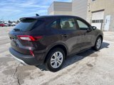 Used 2023 Ford Escape FWD image 4
