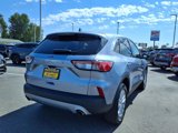 Used 2022 Ford Escape SE image 4