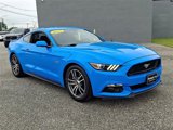 Used 2017 Ford Mustang GT image 4