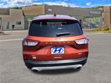 Used 2020 Ford Escape SEL image 4