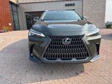 New 2025 Lexus NX 250 FWD w/ Accessory Package (2T) image 4