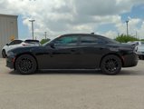 Used 2019 Dodge Charger SXT w/ Blacktop Package image 5