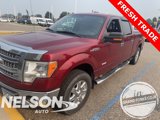 Used 2013 Ford F150 XLT w/ Luxury Equipment Group image 3