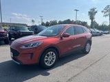 Used 2020 Ford Escape SE image 3