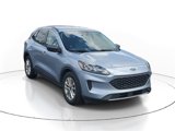Used 2022 Ford Escape SE image 4