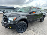 Used 2013 Ford F150 FX4 image 3