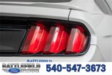 Used 2017 Ford Mustang GT image 6