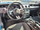 Used 2017 Ford Mustang GT w/ Black Accent Package image 2