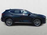 Certified 2024 Lexus NX 300h AWD w/ Vision Package image 5