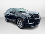 Used 2021 Cadillac XT5 Premium Luxury image 3