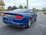 Used 2022 Ford Mustang Coupe image 5
