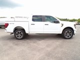 New 2025 Ford F150 STX w/ Equipment Group 200A image 5