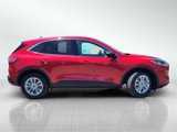 Certified 2022 Ford Escape SE image 3