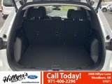 New 2025 Ford Escape Active w/ Active Premium Tech Pack image 6