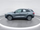 Used 2022 Ford Escape SEL image 5