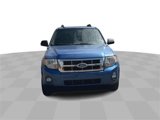 Used 2009 Ford Escape XLT image 3