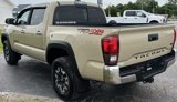 Used 2019 Toyota Tacoma TRD Off-Road image 6