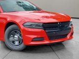 New 2023 Dodge Charger Police w/ Convenience Group I image 2