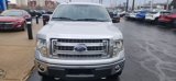 Used 2013 Ford F150 XLT w/ Luxury Equipment Group image 2
