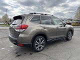 Used 2020 Subaru Forester Limited w/ Popular Package #3 image 3