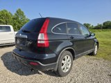 Used 2008 Honda CR-V EX-L image 5