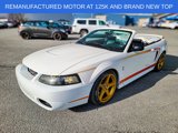 Used 1999 Ford Mustang Cobra image 1