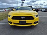Used 2017 Ford Mustang Coupe image 2