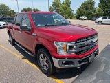 Used 2020 Ford F150 XLT w/ Equipment Group 302A Luxury image 4
