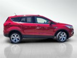 Certified 2019 Ford Escape Titanium image 3