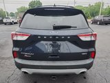 Used 2021 Ford Escape Titanium image 4