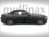 Used 2017 Ford Mustang Premium image 2