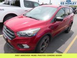 Used 2019 Ford Escape SEL image 2