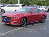Used 2024 Ford Mustang Premium image 4