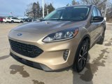 Used 2021 Ford Escape SE w/ SE Sport Appearance Package image 4