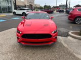Used 2022 Ford Mustang GT w/ Equipment Group 301A image 2
