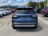 Used 2020 Ford Escape Titanium image 6