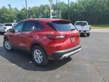 New 2025 Ford Escape Active w/ Cold Weather Package image 5
