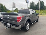 Used 2013 Ford F150 XLT image 5