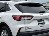 Used 2021 Ford Escape SE w/ Convenience Package image 6
