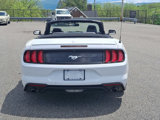 Certified 2019 Ford Mustang Premium image 5