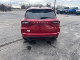 New 2024 Ford Escape ST-Line w/ Tech Pack #1 image 6