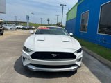 Used 2020 Ford Mustang Premium w/ Equipment Group 201A image 2