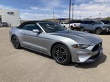 Certified 2022 Ford Mustang Premium image 4