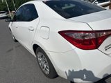 Used 2019 Toyota Corolla LE image 4