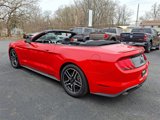 Used 2022 Ford Mustang Premium image 5